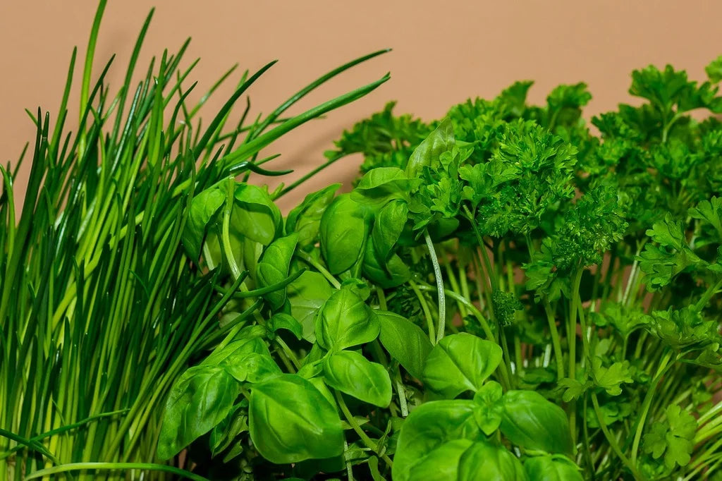 Herbs