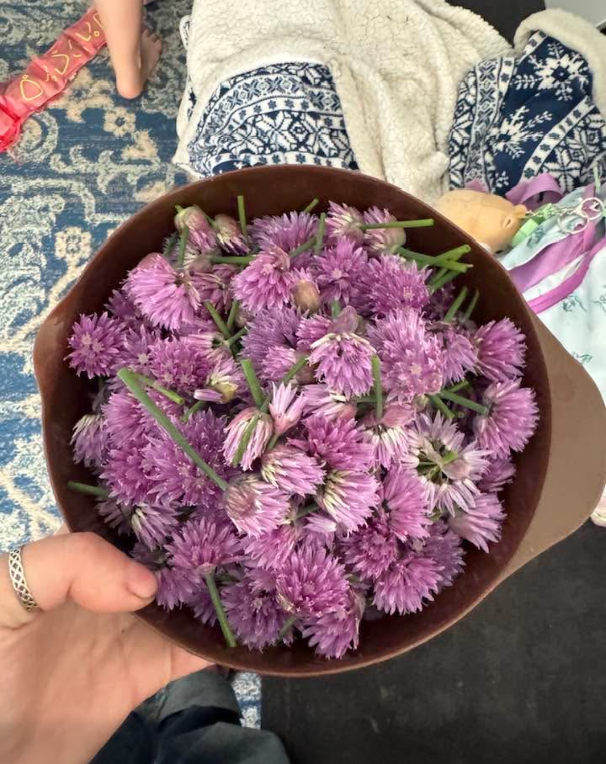 Person holding a bowl of purple flowers on a patterned rug