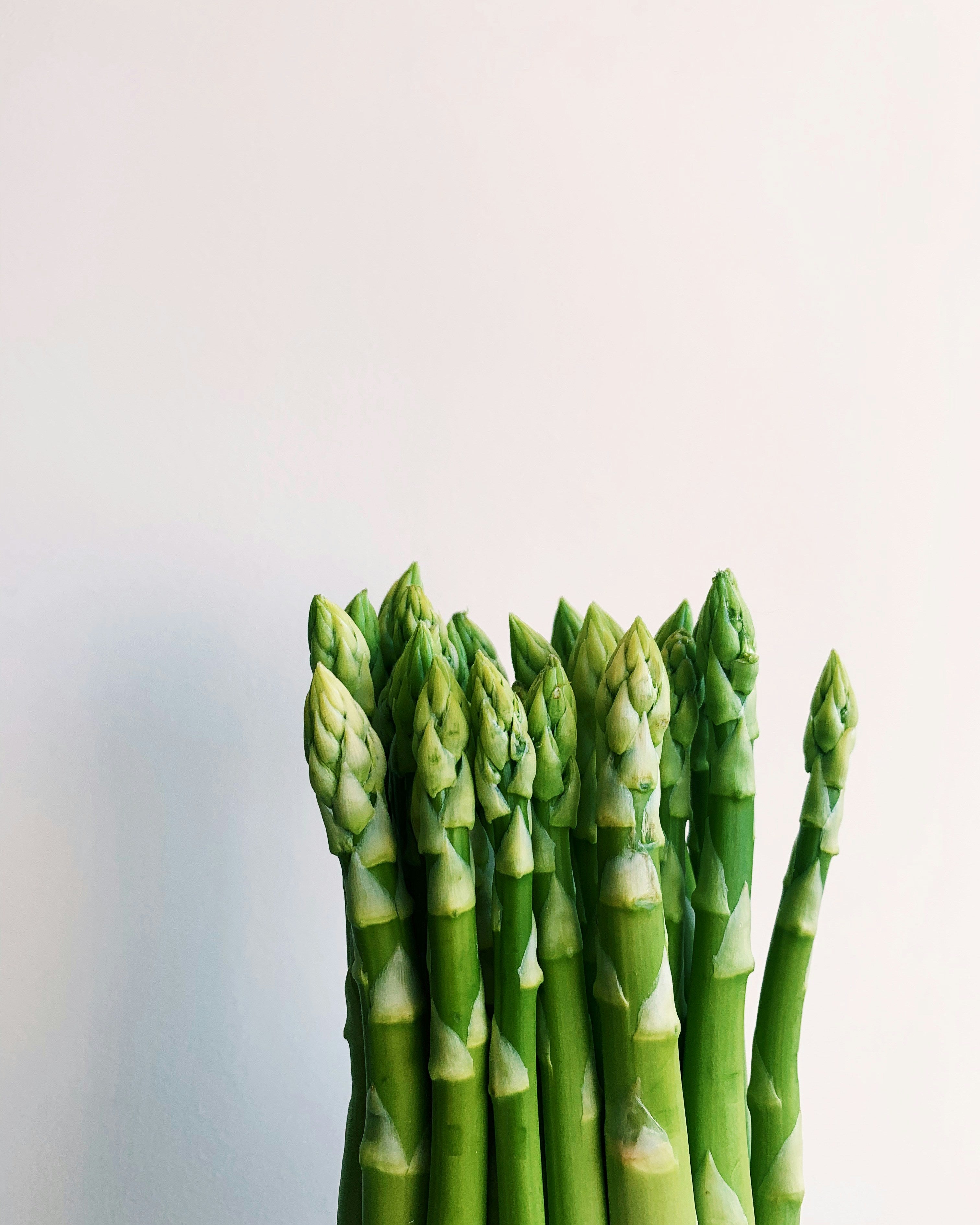 Asparagus (Martha Washington Type)