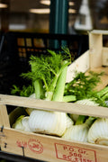 Fennel