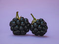 Blackberry