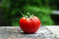 Tomato - large red cherry