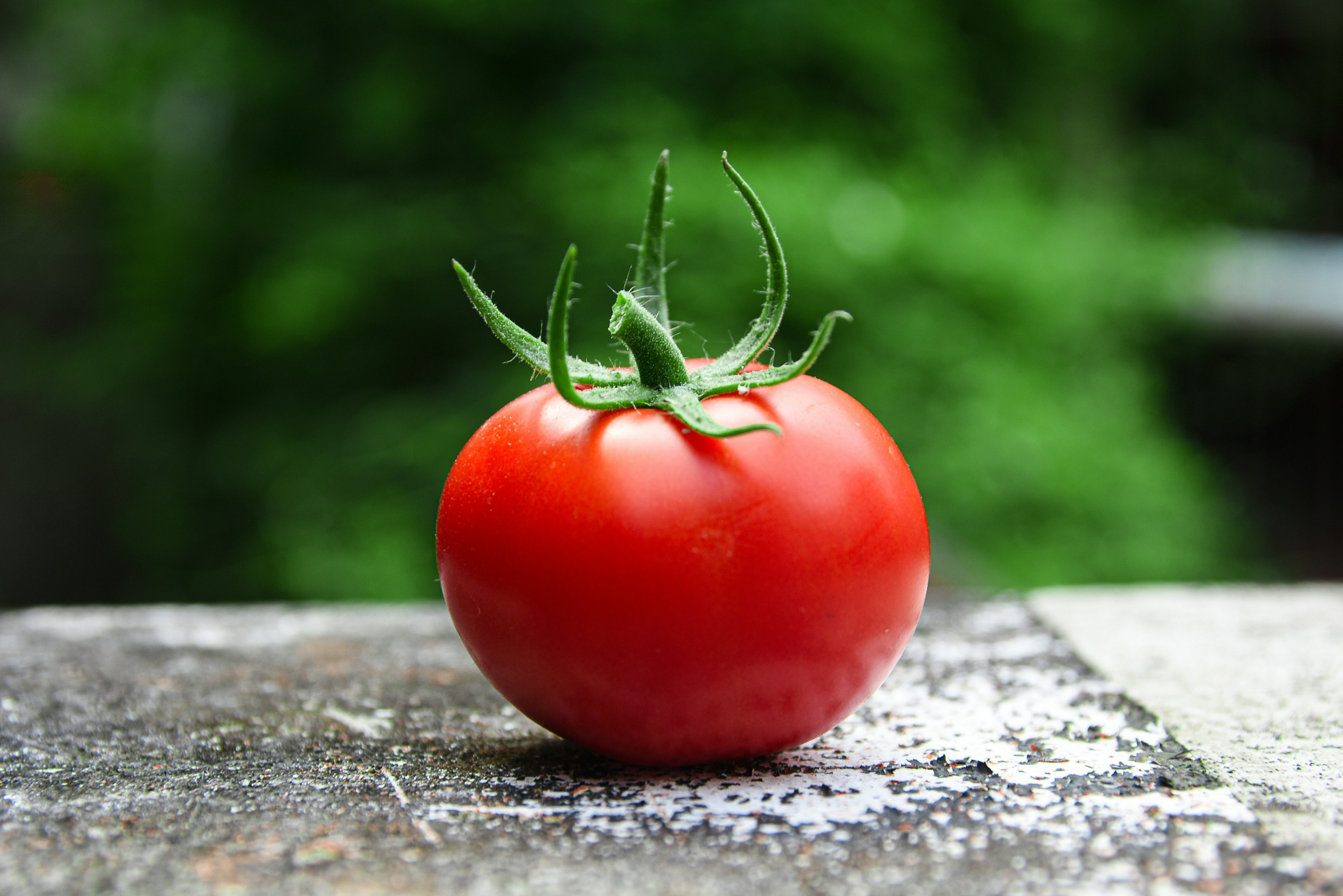 Tomato - amish paste