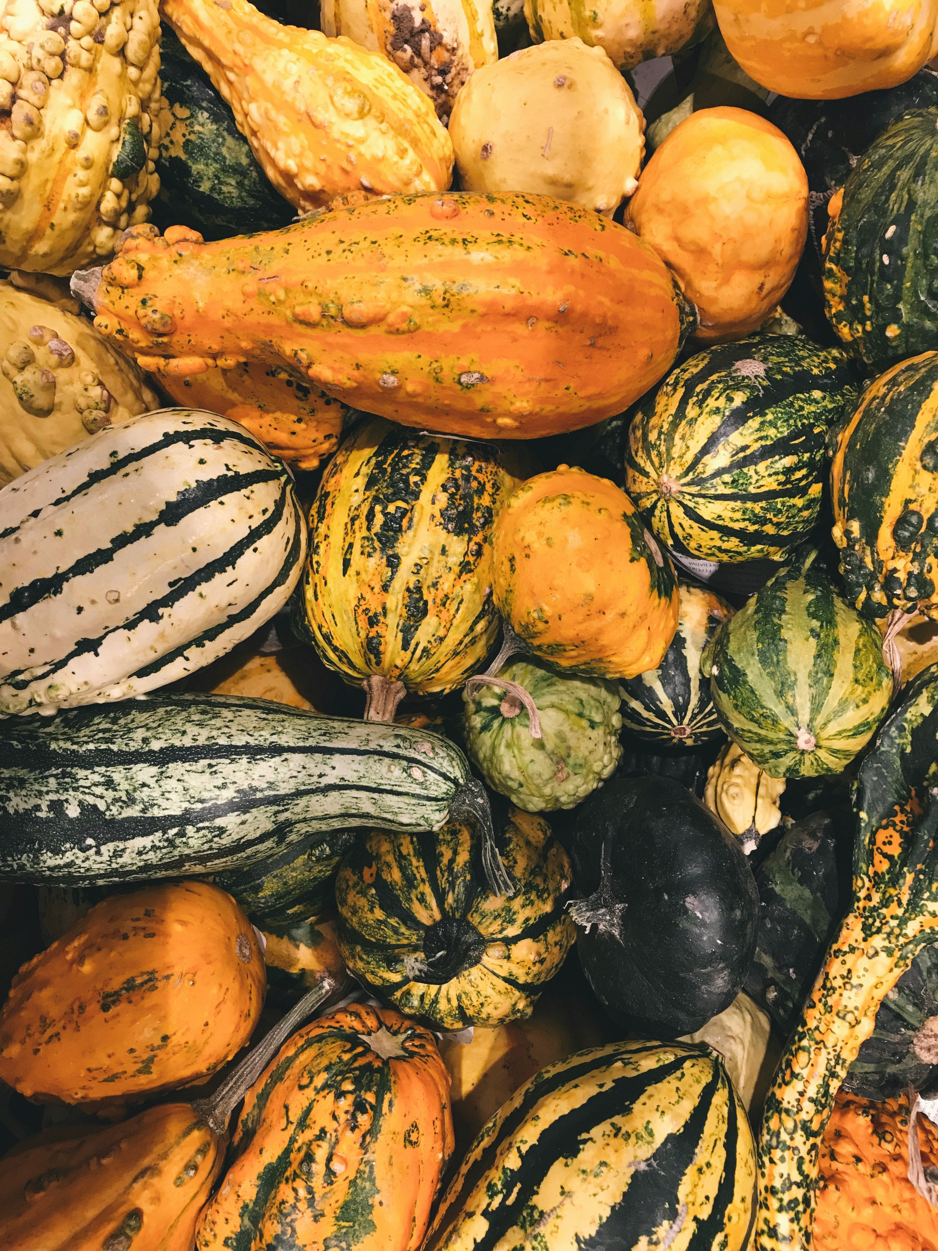 Squash - butternut