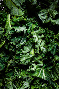 Sea kale