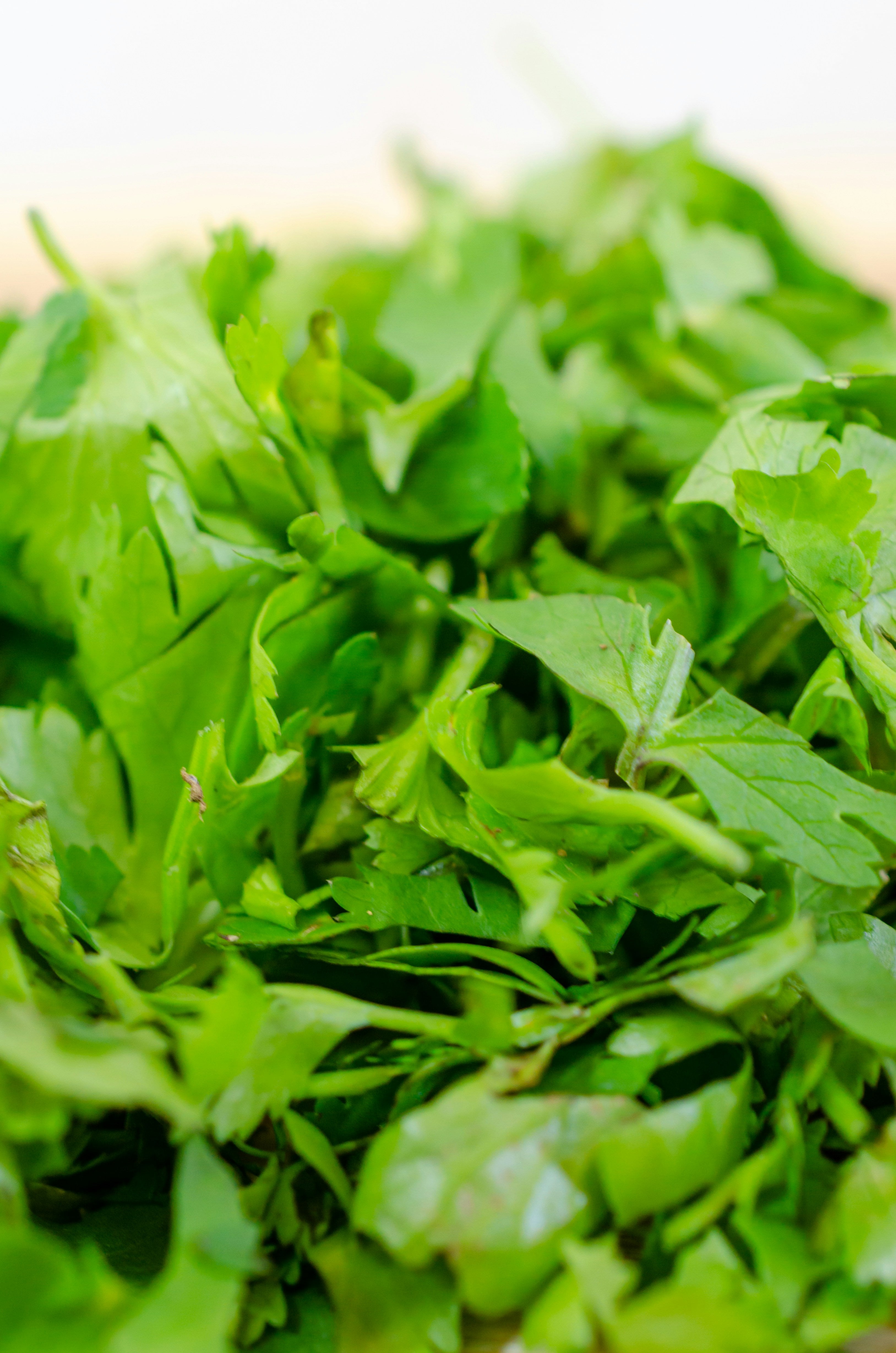 Arugula