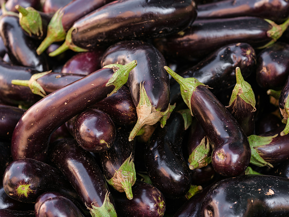 Eggplant