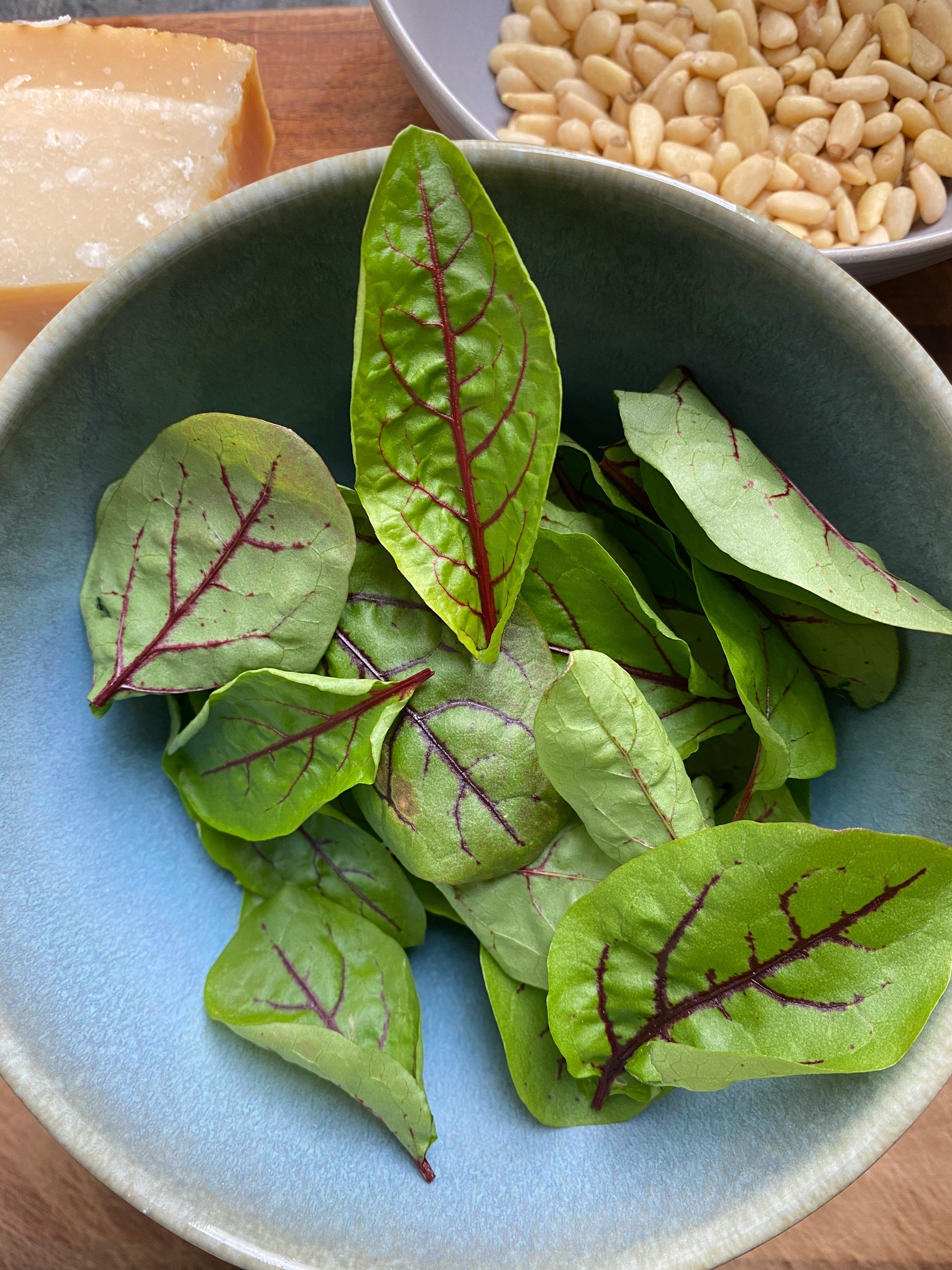 Sorrel