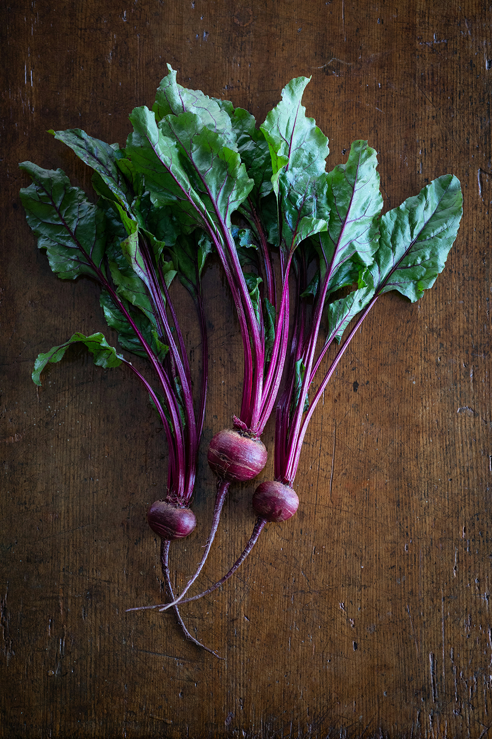 Turnip - purple top white globe