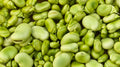 Lima Beans