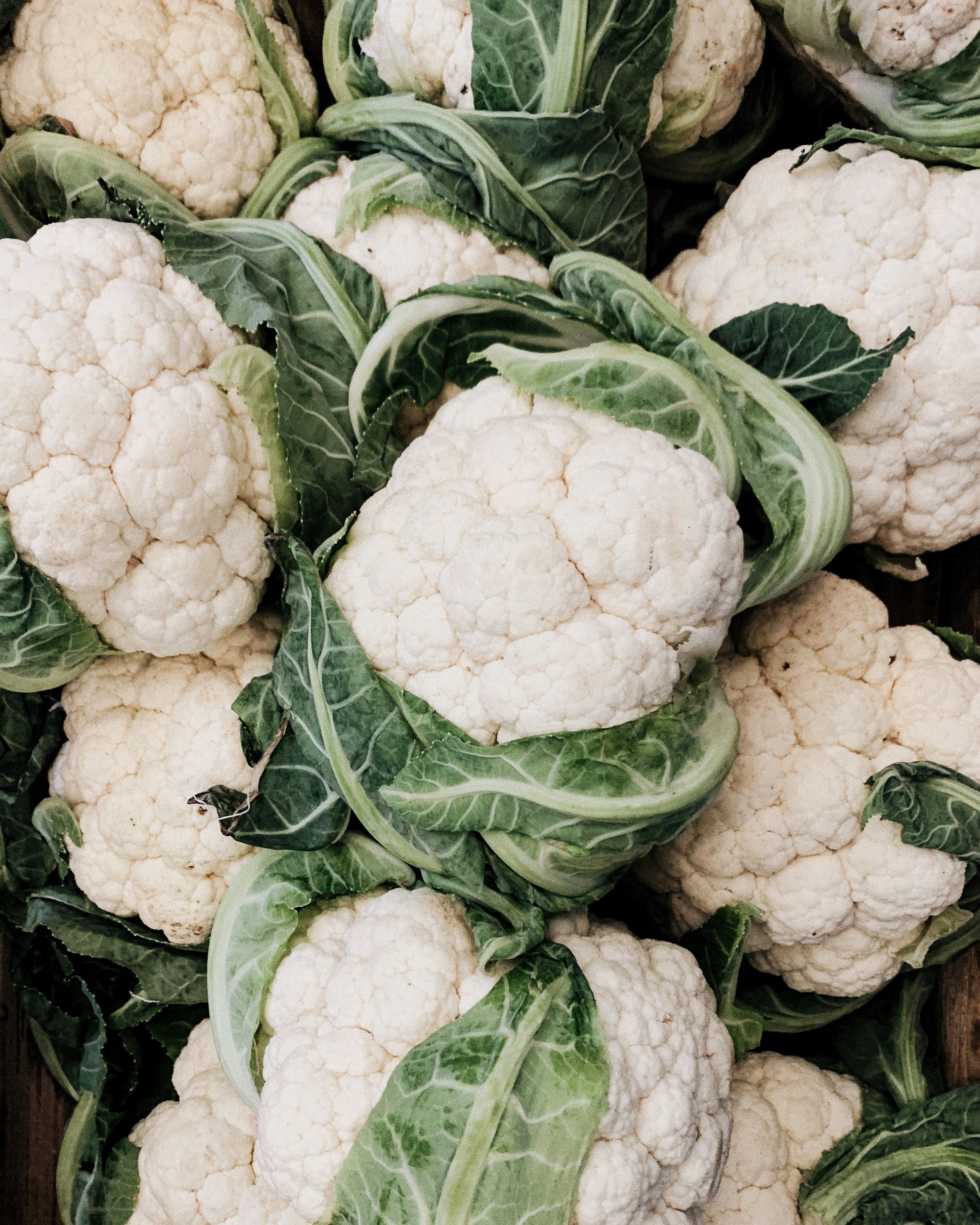 Cauliflower - snowball