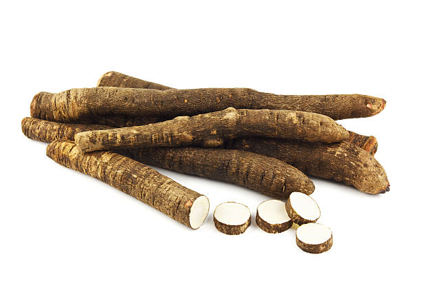 Black salsify