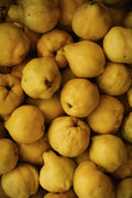 Quince