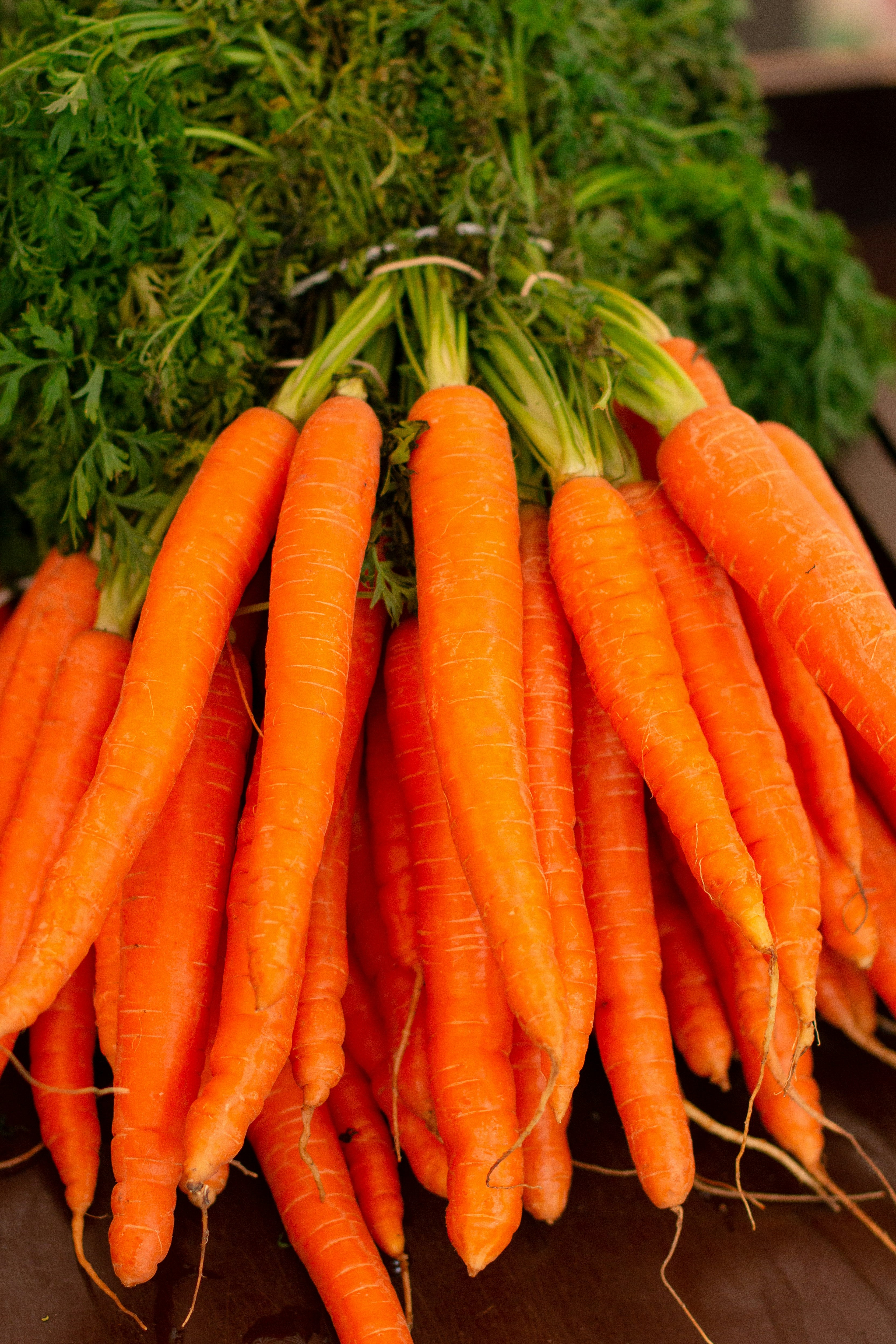 Carrot-scarlett nantes
