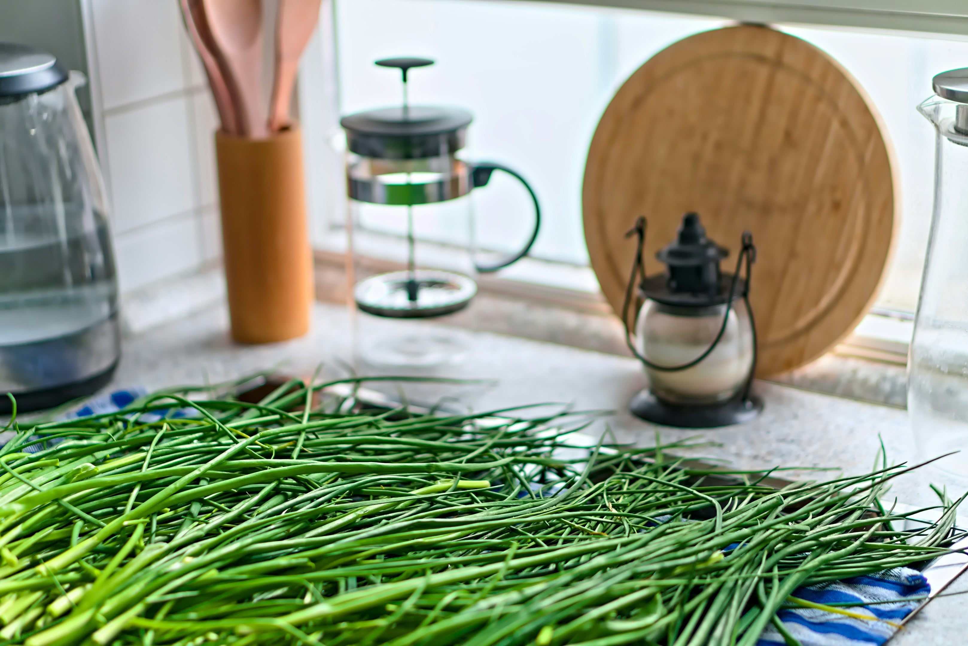 Chives - common
