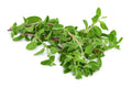 Marjoram - original