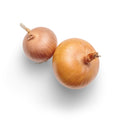 Welsh onion