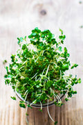 Upland Cress