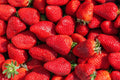 Strawberry - red