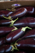 Eggplant