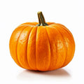 Pumpkin-jack o lantern