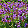 Self heal
