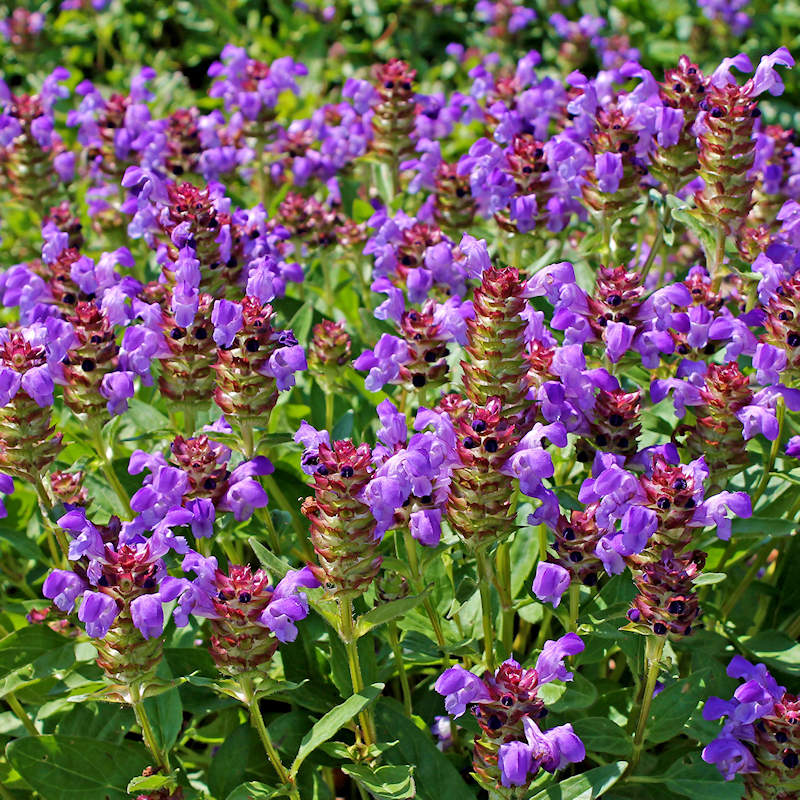 Self heal