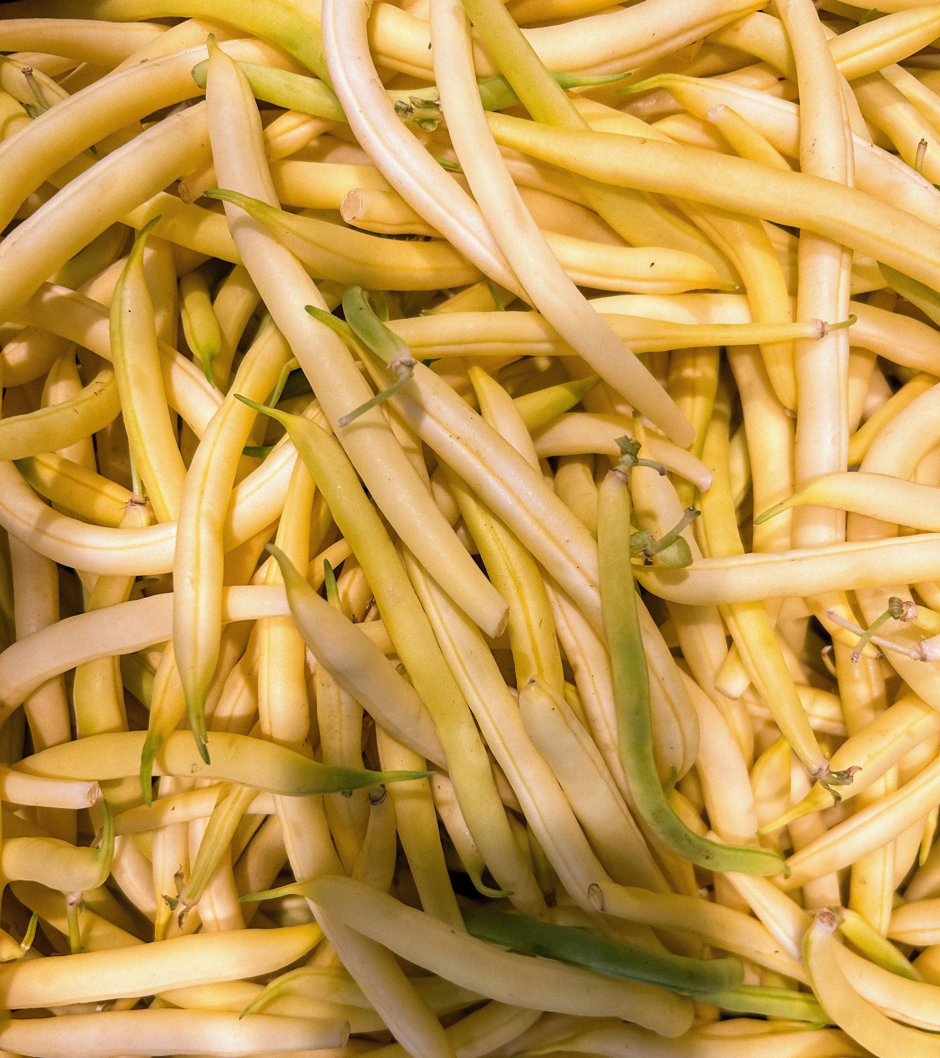 Yellow beans