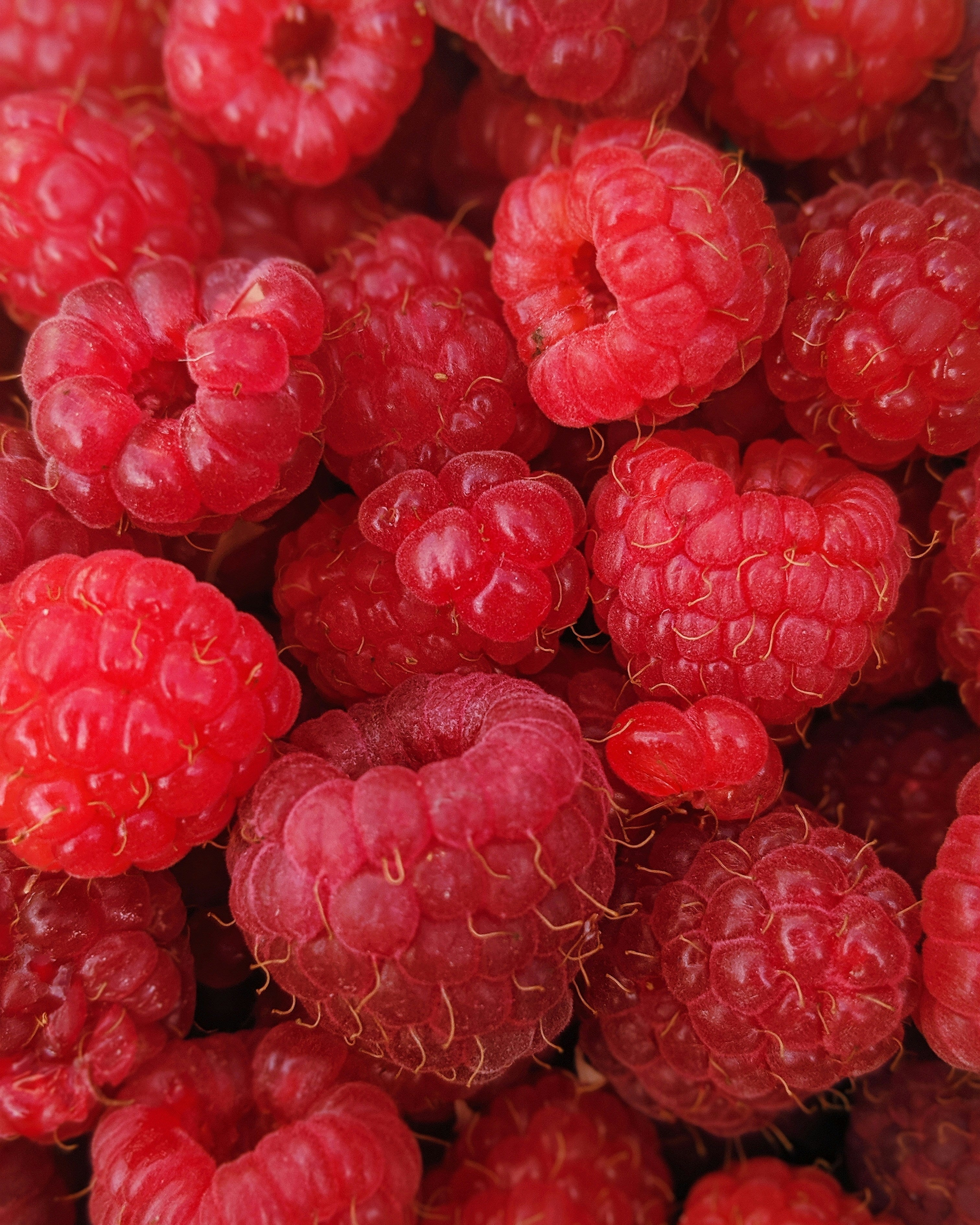 Raspberry-red